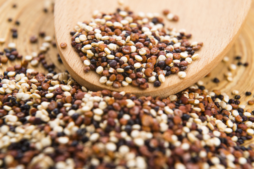 Tricolor quinoa grain