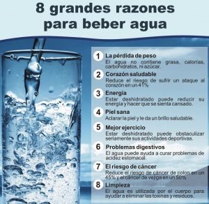 dieta agua
